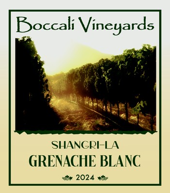 Shangri-La Grenache Blanc 2024 - Case