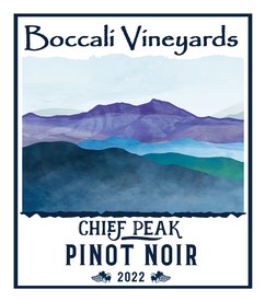 Chief Peak Pinot Noir 2022 - Case