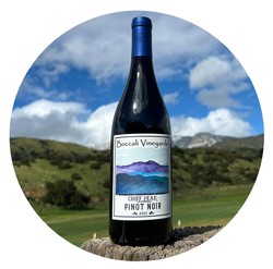 Chief Peak Pinot Noir 2022 - Bottle